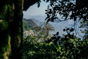 The Blyde River Canyon from the top of Mariepskop